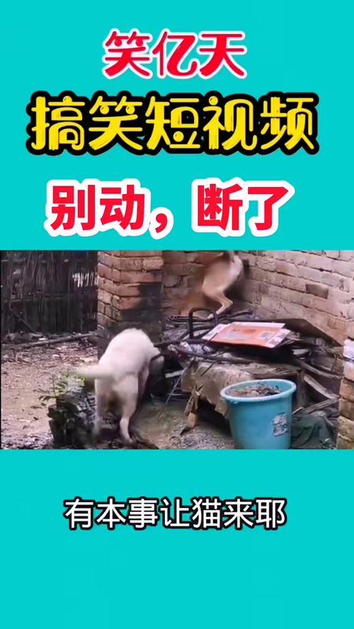 公司搞笑爆料视频,笑料百出!公司内部搞笑爆料视频大揭秘 第1张 公司搞笑爆料视频,笑料百出!公司内部搞笑爆料视频大揭秘 第1张
