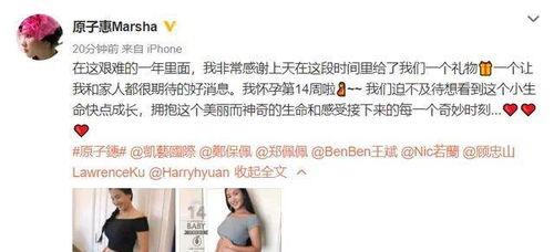 圈内爆料八卦小猪,娱乐圈八卦大揭秘 第1张 圈内爆料八卦小猪,娱乐圈八卦大揭秘 第1张