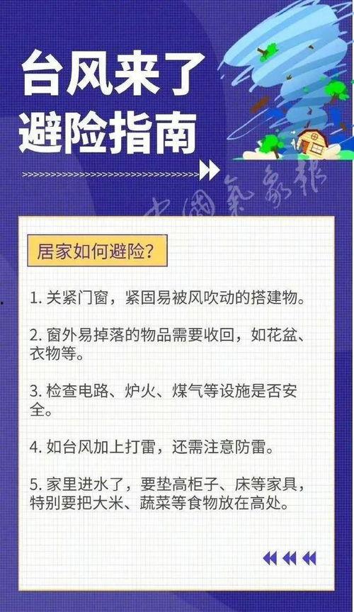 最新台风爆料新闻内容视频,揭秘“XX”台风的最新路径与影响  第1张