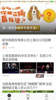 南京头条最新爆料,揭秘南京最新重大事件内幕 第3张 南京头条最新爆料,揭秘南京最新重大事件内幕 第3张