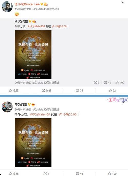 风景视频爆料大全最新网站,尽享视觉盛宴  第3张