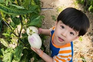 小布布娱乐吃瓜  第2张