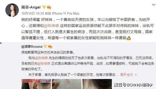 深圳头条卢小姐爆料视频,卢小姐视频内容深度解析